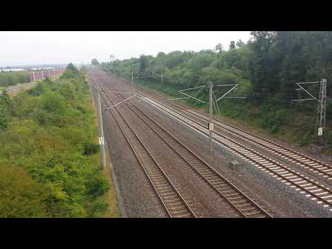 S19 mit 2x 423'er eilt Düren entgegen.