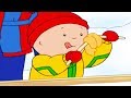 Caillou And The Sweet Winter Caillou Cartoon