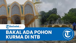 Islamic Center Mataram Bakal Hadirkan Wisata Pohon Kurma, Biaya Perawatan 1 Pohon Rp 7 Juta