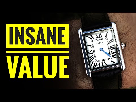The BEST $20 Watch In The WORLD
