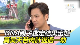 DNA親子鑑定結果出爐  莫昊天逃過一劫