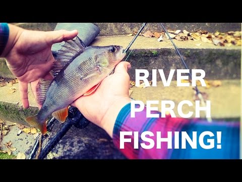 Ultra light jigging for perch on the river!