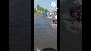 #Jogiya(Siddharthnagar)Thana Me Pani#badh#pani ka khar#जोगिया उदयपुर थाना और रास्ते पर बाढ़😭😭