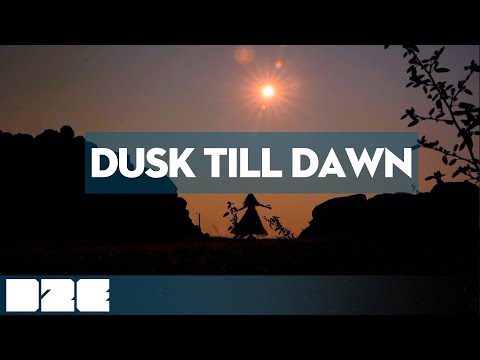 Coyot - Dusk Till Dawn (Official Visualiser)