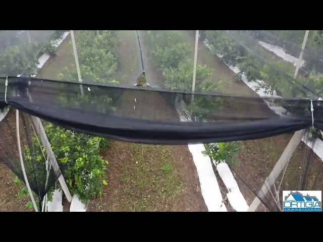 CONTRADA CANALICCHIO