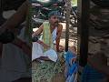 Puyal ️ ️ Shorts College Puyal Pavangal