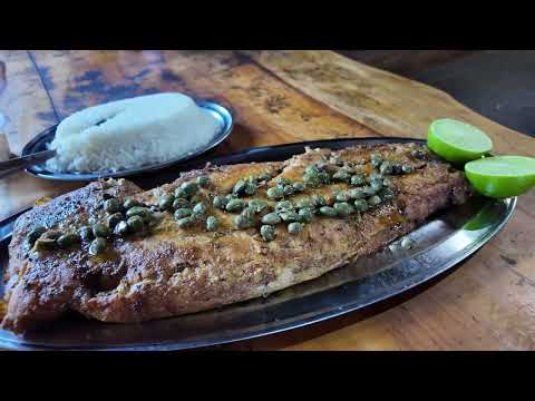 Conheça o Município de Piracicaba