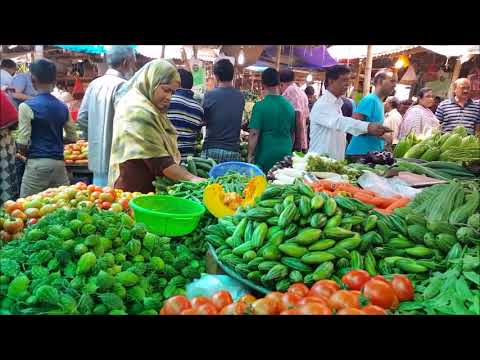 ভার্মি কম্পোস্ট
