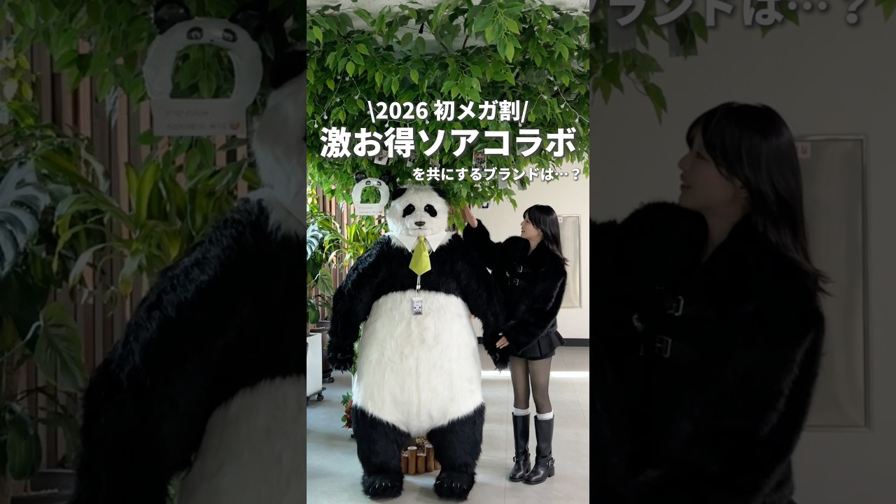 2026年メガ割🈹ソアコラボは… #jsoop