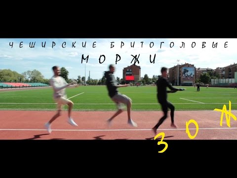 Чеширские Бритоголовые Моржи - ЗОЖ (Video) (2016)