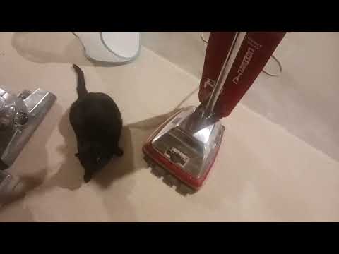 Sanitaire sc686 update.