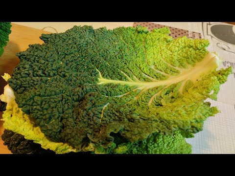 Verbessert die Sicht wie verrückt! Ohne Brille und Linsen!