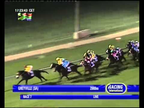 2013.06.01 Daily News 2000 - Vercingetorix