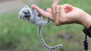 10 Cutest Exotic Animals In The World