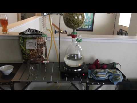 Citra hops distillation