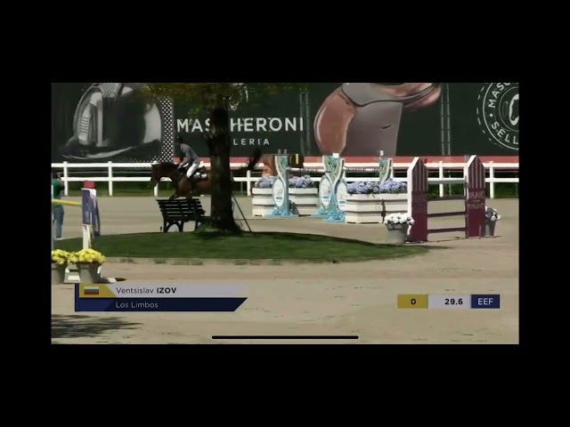 Offpspring Los Limbos jumping CSI 1.50m classes with rider Millie Allenn.