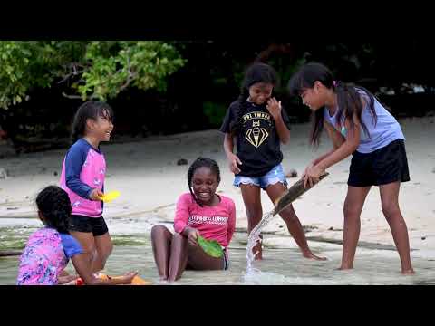 Palauan’s pull together to protect their patch