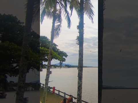 #cananeia #saopaulo #brasil #turismo #natureza Cananéia - Brasil