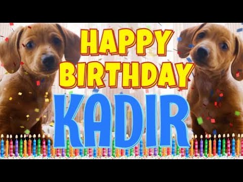 Happy Birthday Kadir! ( Funny Talking Dogs ) What Is Free On My Birthday