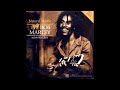 Bob Marley - Natural Mystic (Alternate Version) 432hz