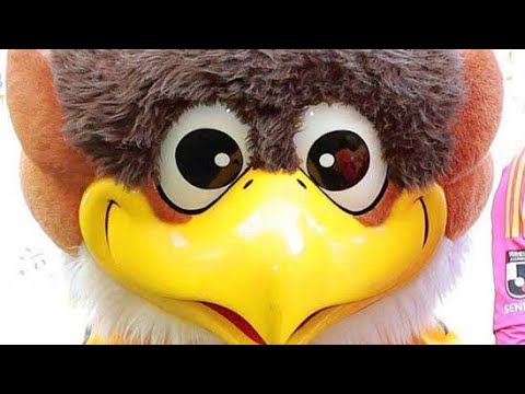 ベガッ太にまさかの1か月出演停止…札幌戦での行動が波紋に😨⚽