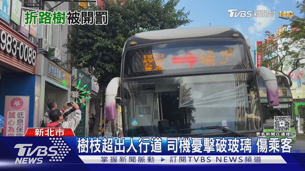影響行車安全 國光客運司機「爬樹」折樹枝 最重罰5萬
