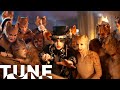 Mr. Mistoffelees | Cats (2019) | TUNE
