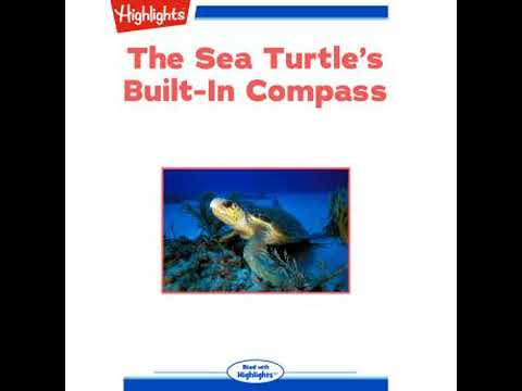 Sea Turtle's Built-In Compass - Sudipta Bardhan