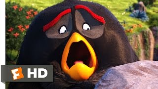 Angry Birds - The Lake of Whiz-dom Scene (6/10) | Movieclips