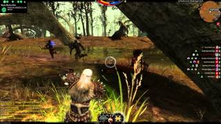 Darkfall Unholy Wars: DFUW Skimisher - Deadeye NA1 Cotton Eye Joe (OTG)