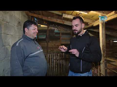 Ne Shtepine Tone, 12 Mars 2018, Pjesa 1 - “Në vendin tënd”