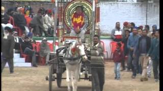 (1) Ghuman (Gurdaspur) Kabaddi Tournament 17 Jan 2016