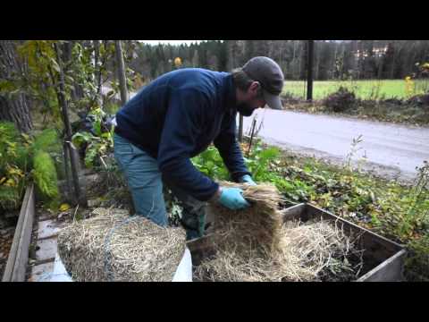 Förbered din odlingslåda på hösten med ensilage