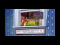 Fox And The Hound Dvd Menu