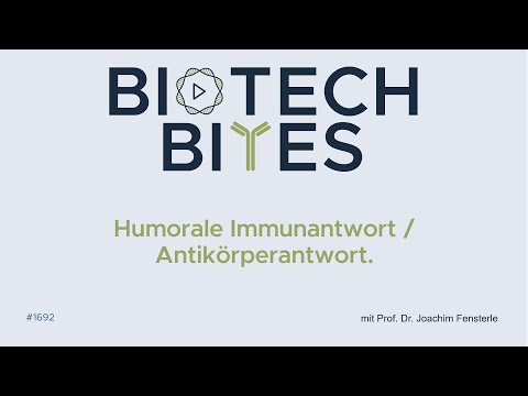 Biotech-Bites - humorale Immunantwort / Antikörperantwort.