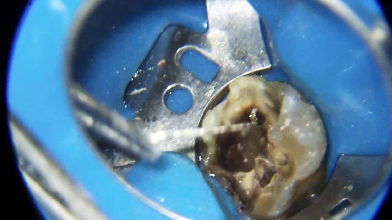 Rodrigo Vosiacki Rossi-15