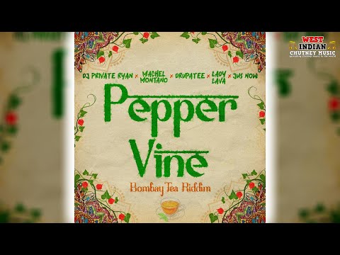 Dj Private Ryan X Machel Montano X Drupatee X Lady Lava X Jus Now - Pepper Vine (2025 Chutney Soca)