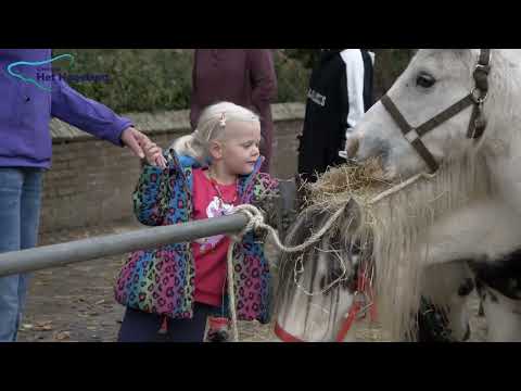 Baistemaart Winsum 2022