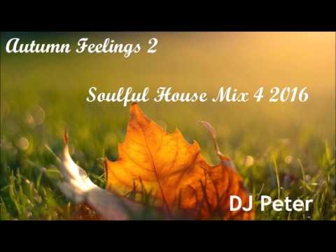 DJ Peter -  Autumn Feelings 2 -  Soulful House Mix 4 2016