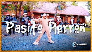 Tierra Cali - El Pasito Perron (En Vivo) [feat. Dinastia Mendoza]