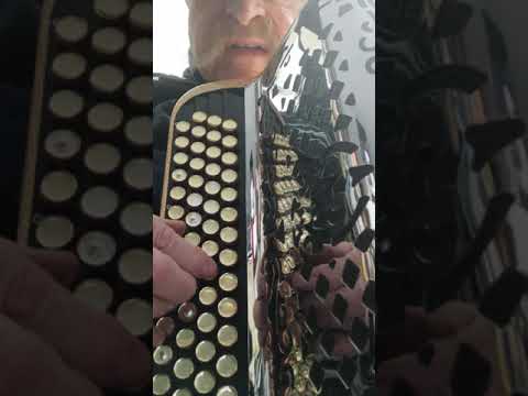 French Style Gold Chromatic C System Accordion