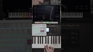 Runa: Elder Scoring Strings - Sustain #kontakt #strings #vst #samplelibrary