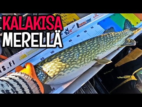 KALASSA RAAHESSA - HAUKIKISA MERELLÄ