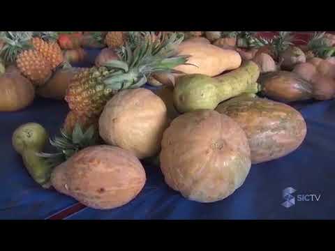 Programa SIC  Rural - 04/02/2018