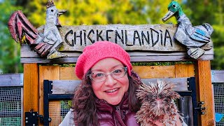 Welcome to Chickenlandia 2024!