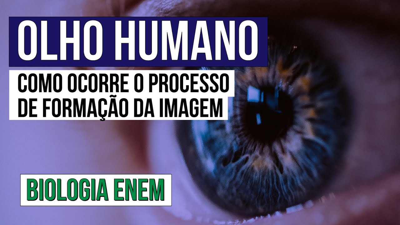 OLHO HUMANO: como ocorre o processo de formação da imagem? | Biologia para o Enem | Cláudia Aguiar