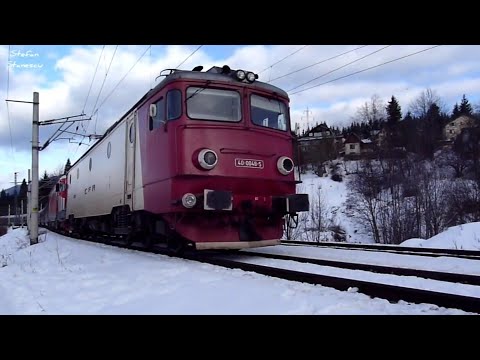 Arhivă / Archive - Predeal - 02.01.2011