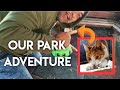 SHEKY THE CAT PARK ADVENTURE