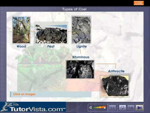 Care of the garden: Peat: what is white peat and black peat? Properties and use | 2025