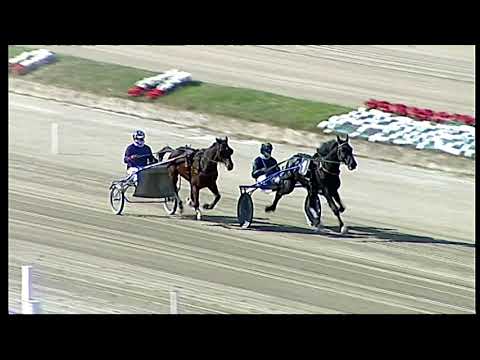 Napoli Trotto 25/02/2022 - prova di qualifica